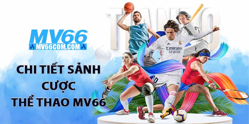 Thể Thao MV66 – Sảnh Cá Cược Thể Thao Uy Tín, Kèo Chuẩn 2026 2 Chi tiết sảnh cược thể thao MV66