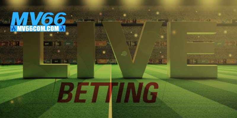 Thể Thao MV66 – Sảnh Cá Cược Thể Thao Uy Tín, Kèo Chuẩn 2026 4 Cược live betting