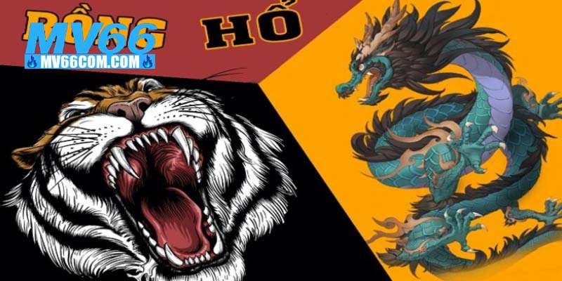Rồng Hổ MV66 - Trò Chơi Đơn Giản Thưởng Lớn Mỗi Ngày 4 Hướng dẫn tham gia rồng hổ cùng MV66